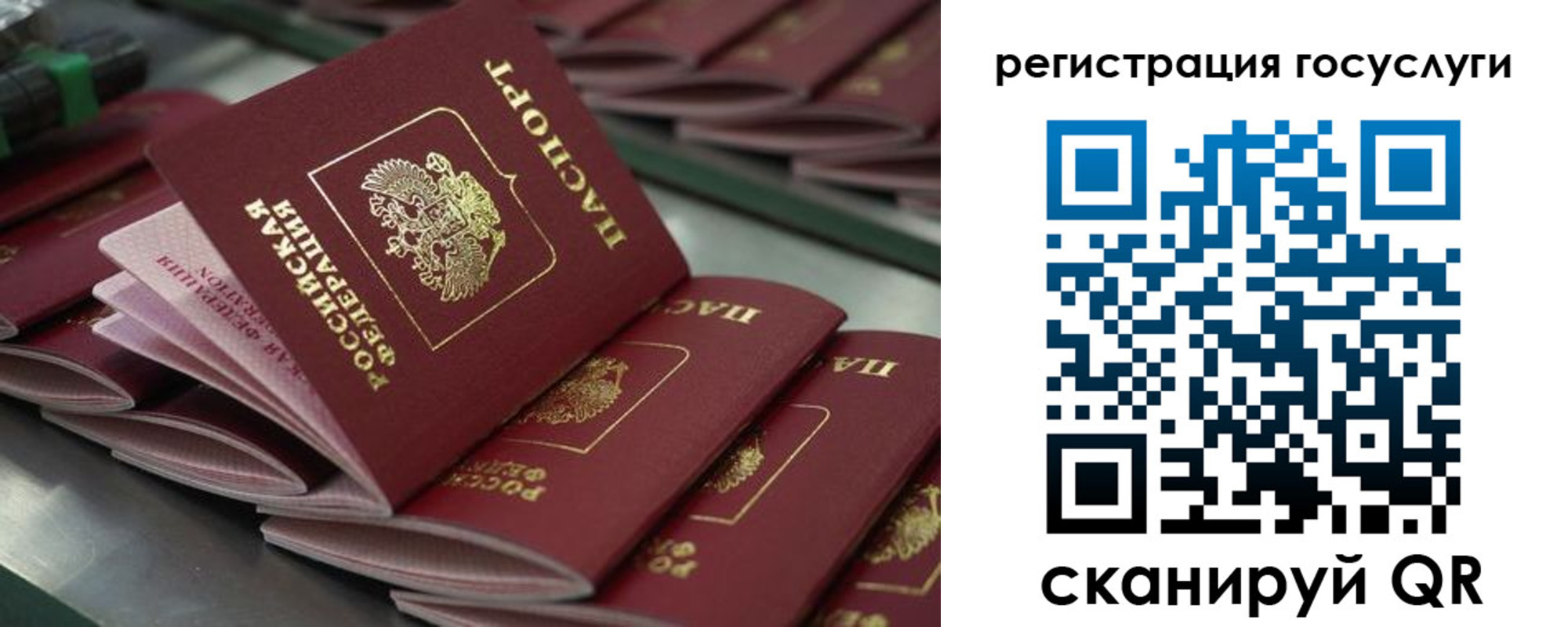 прописка 2025 в Клинцах
